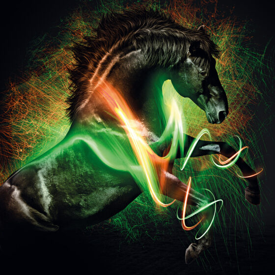 Dechra Tensolvet Keyvisual Leuchtend 1600x1200px Dechra Tensolvet Keyvisual Leuchtend 1600x1200px