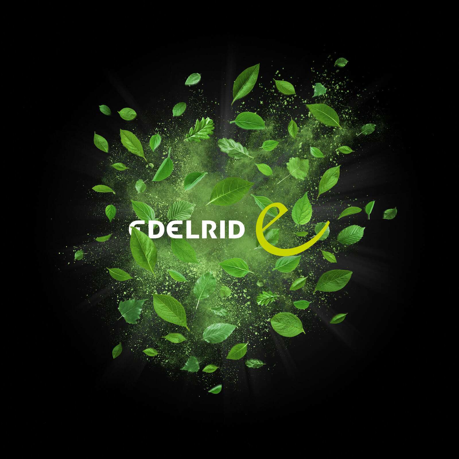 Edelried Explosionen Blaetter Mit Logo