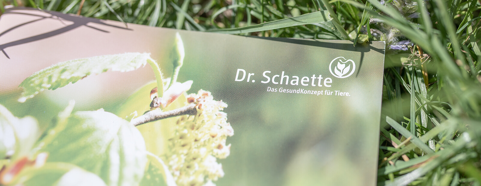 Titel Closeup 1600x620px