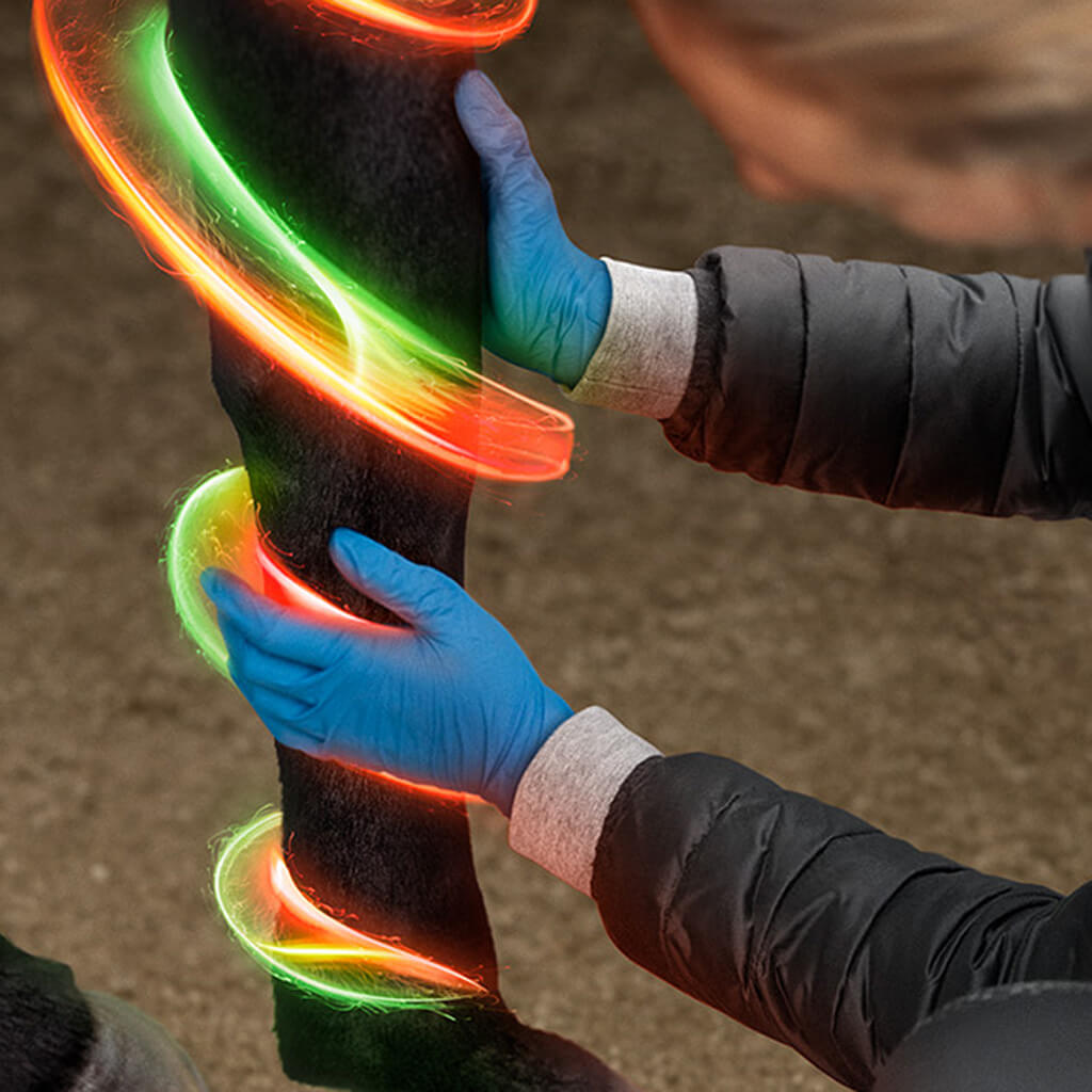 Dechra Tensolvet B2c 1024x1024px