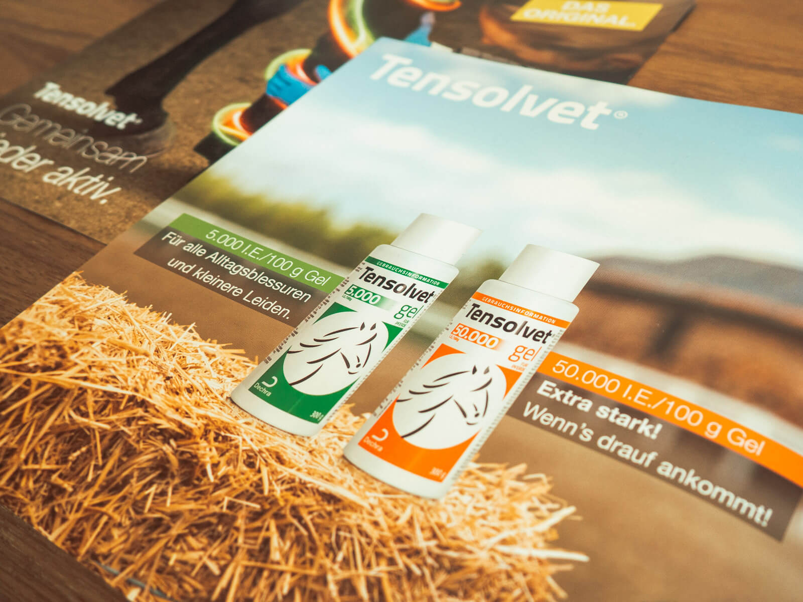 Dechra Tensolvet B2c Broschuere P6130174 1