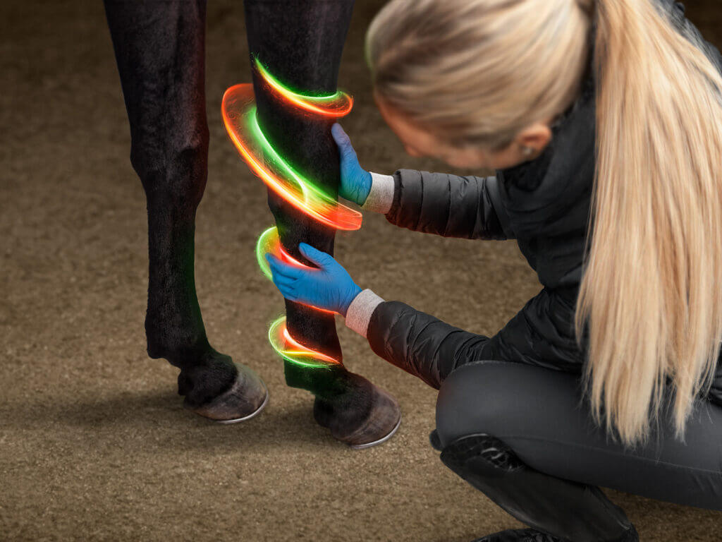 Dechra Tensolvet B2c Primaer Nachher Dechra Tensolvet B2c Primaer Nachher