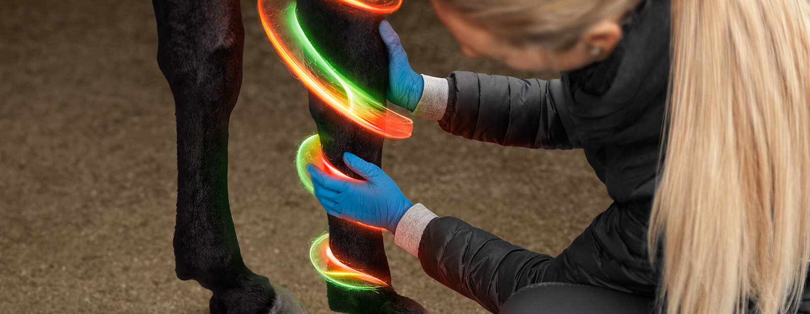 Dechra Tensolvet B2c Primaer Nachher Titel Dechra Tensolvet B2c Primaer Nachher Titel