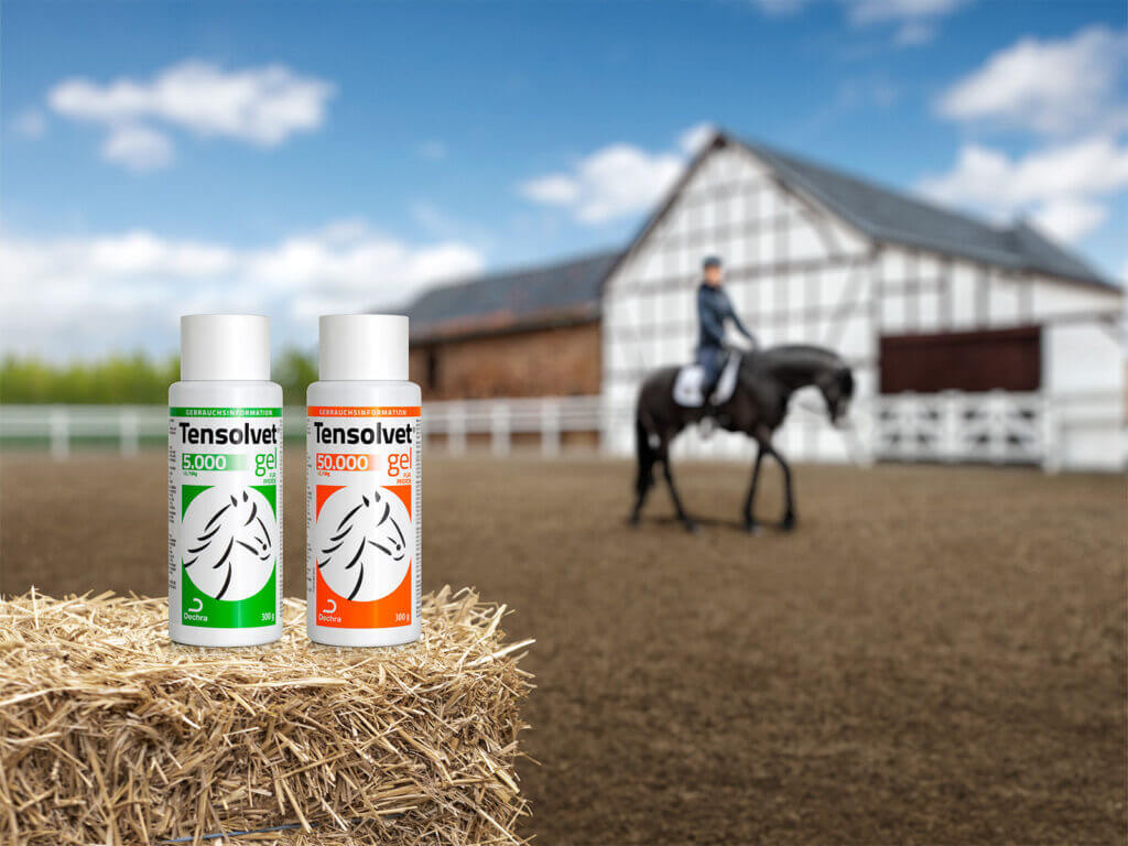 Dechra Tensolvet B2c Sekundaer Nachher Dechra Tensolvet B2c Sekundaer Nachher