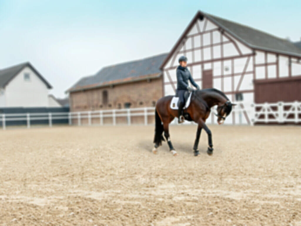 Dechra Tensolvet B2c Sekundaer Vorher Dechra Tensolvet B2c Sekundaer Vorher