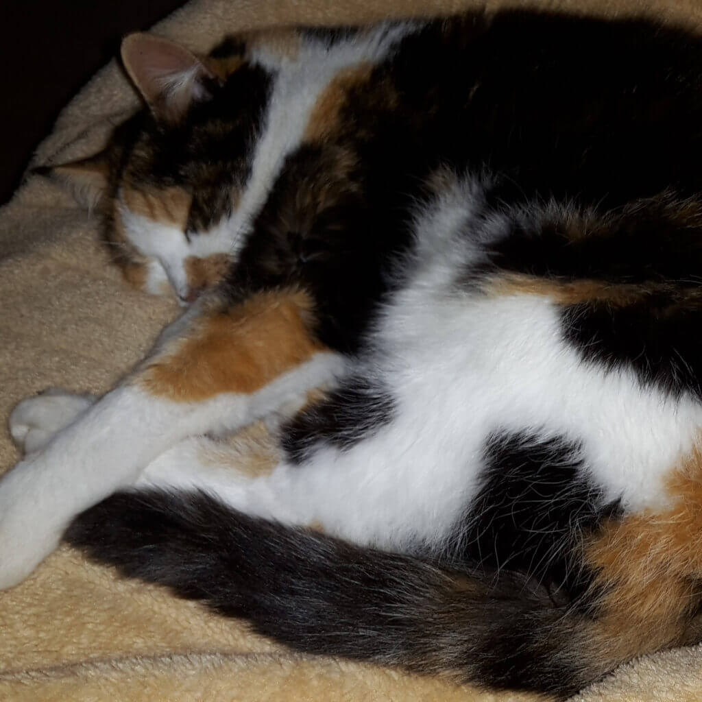 20190310 205747 1 20190310 205747 1