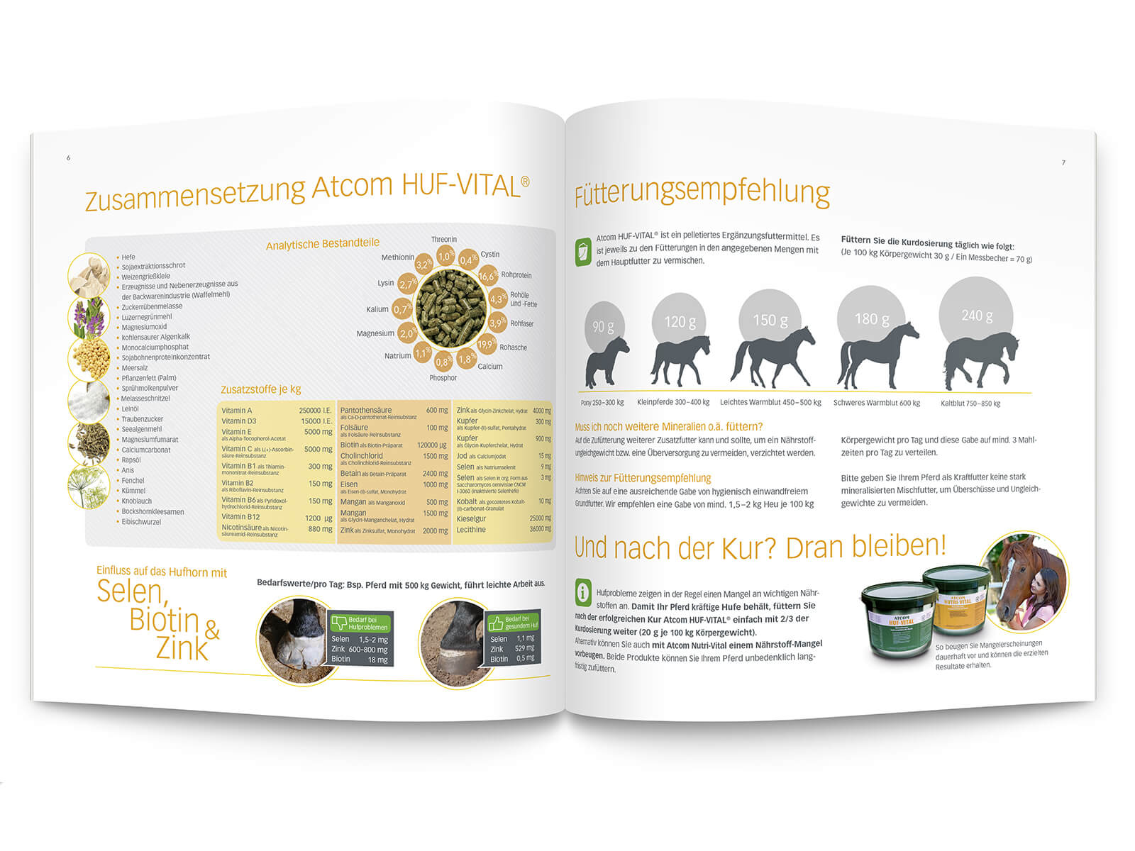 Atcom Innen2 Squarebrochure05 Atcom Innen2 Squarebrochure05