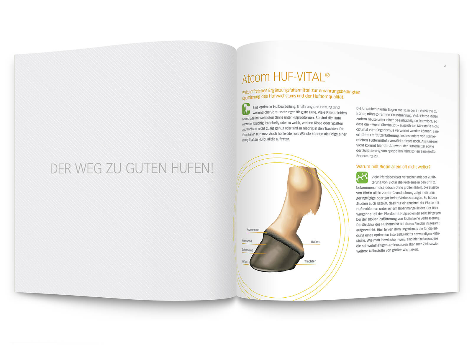 Atcom Innen Squarebrochure05 Atcom Innen Squarebrochure05