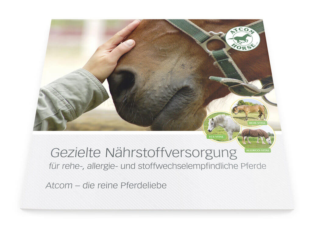 Atcom Rehe All Ecs Titel Squarebrochure01 Atcom Rehe All Ecs Titel Squarebrochure01