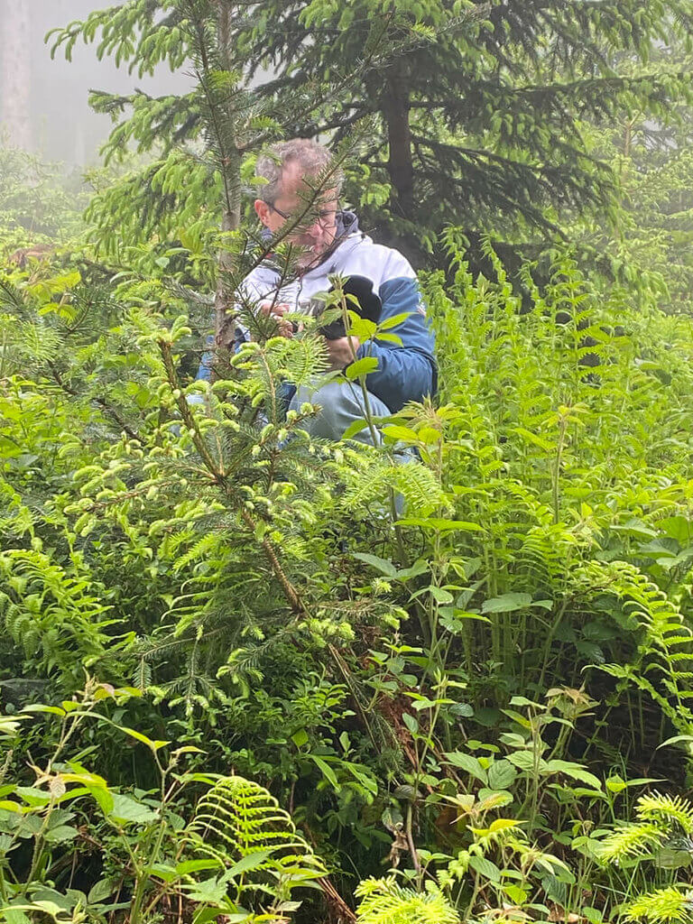 Der Fotograf in den Büschen