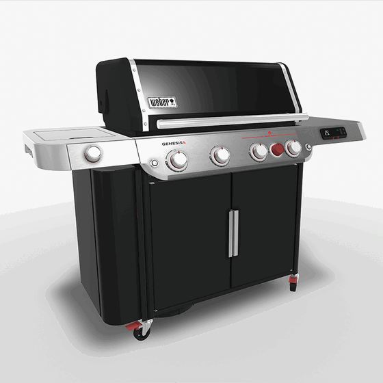 Weber Rendering Alternativeview Web 800x800px Weber Rendering Alternativeview Web 800x800px